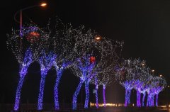 甘肅省天水市，秦州區(qū)亮化工程